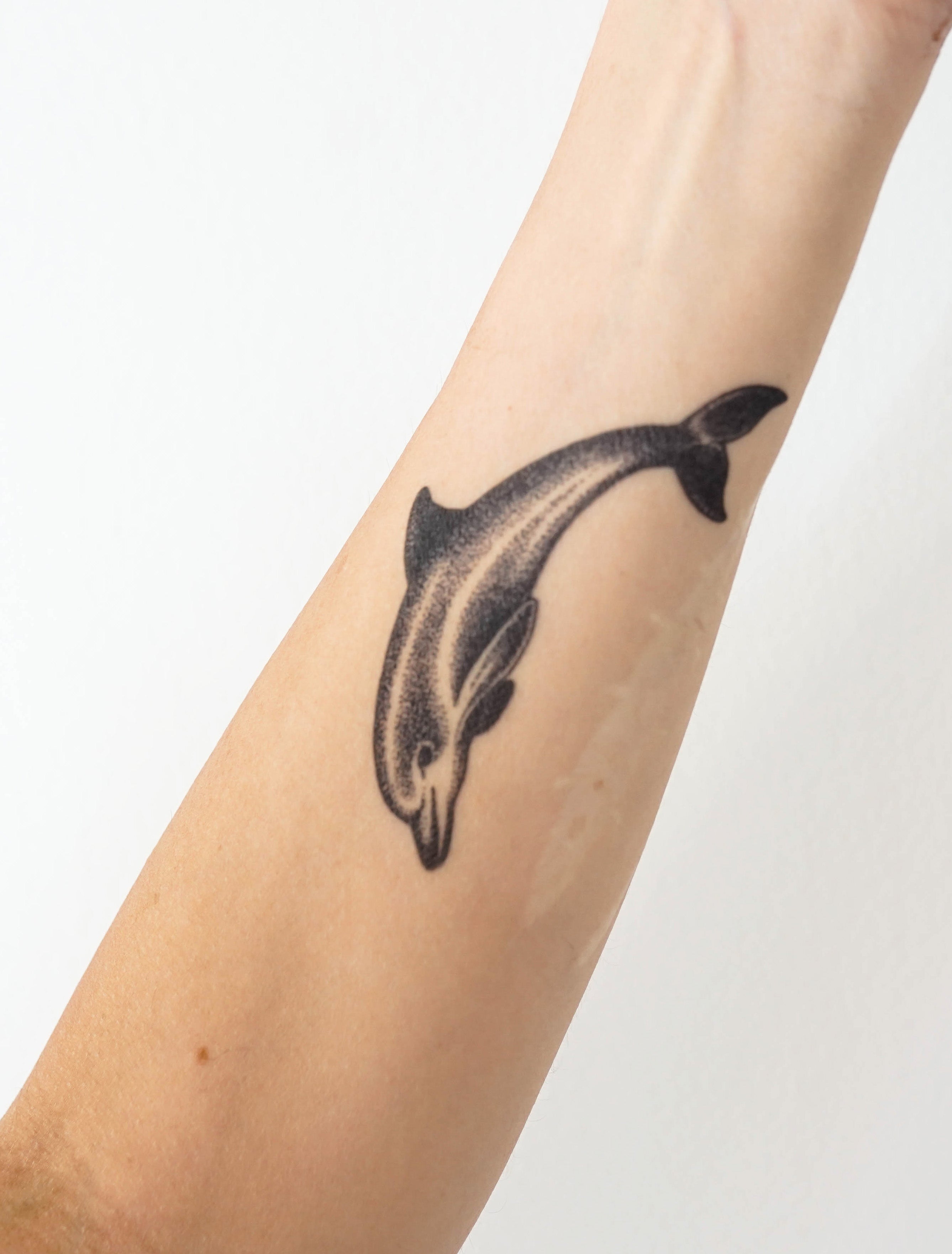 Dolphin Collection (# Dolphin Tattoos C1#) : Amazon.co.uk: Beauty