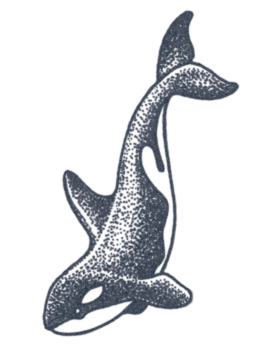 Orca Whale Tattoo | Realistic Temporary Tattoos – TattooIcon
