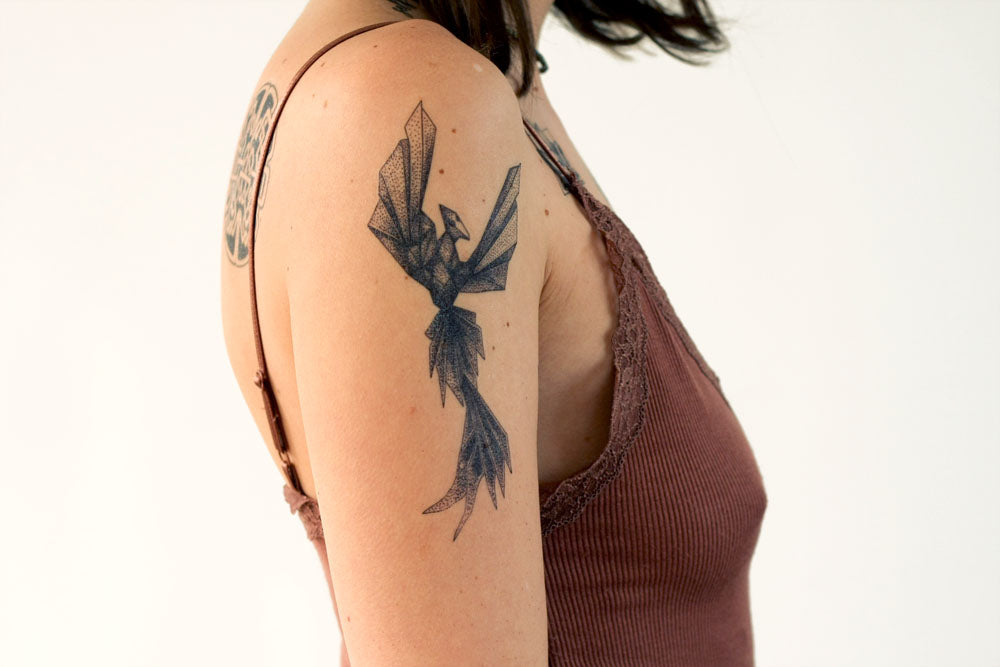 Tattoo | Small phoenix tattoos, Phoenix tattoo, Phoenix tattoo design
