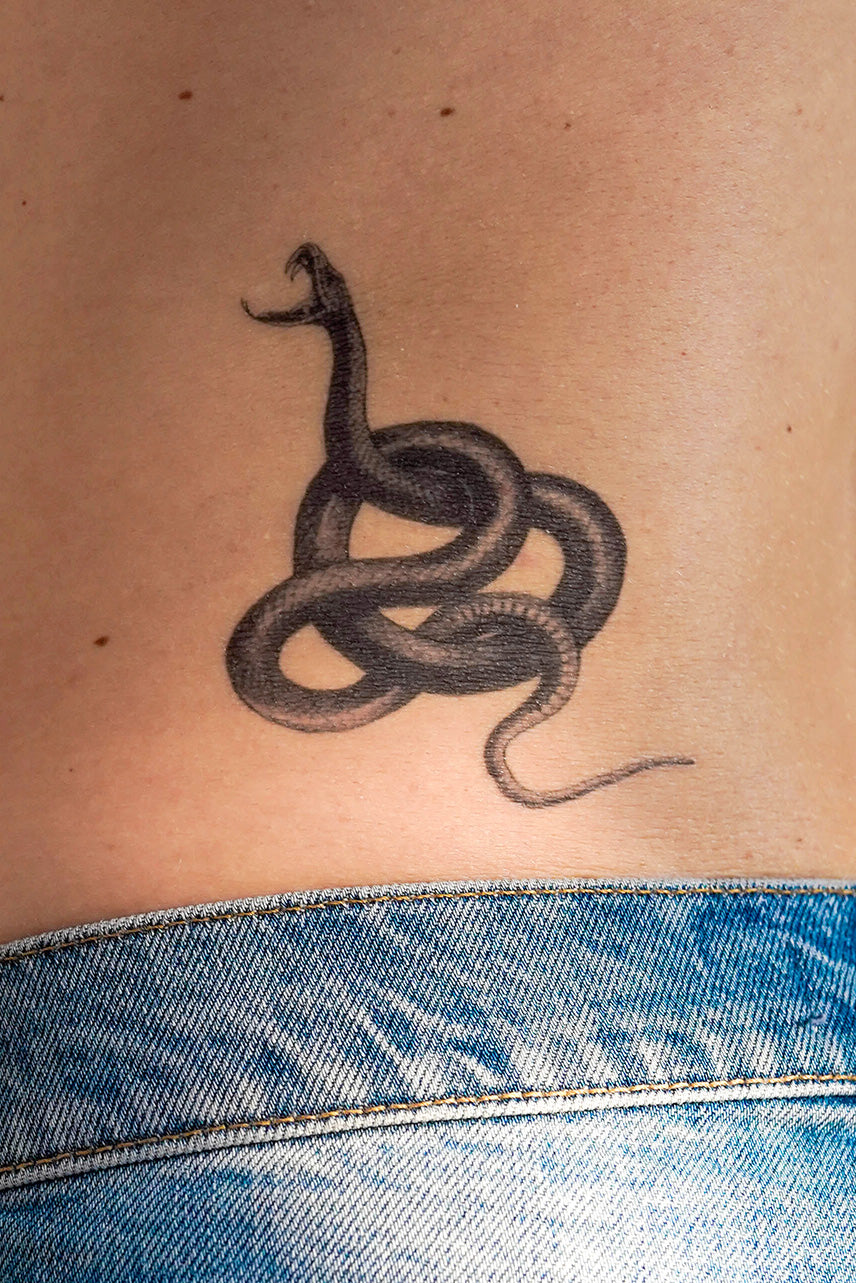 Image result for snake around neck tattoo | Snake tattoo, Tattoos for guys,  Collar bone tattoo for men